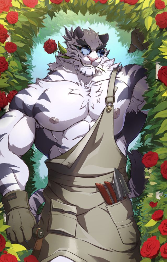 Big tiger with apron and tools noticed you in his garden. Jin Qiu smiles, he takes red rose in his mouth 
