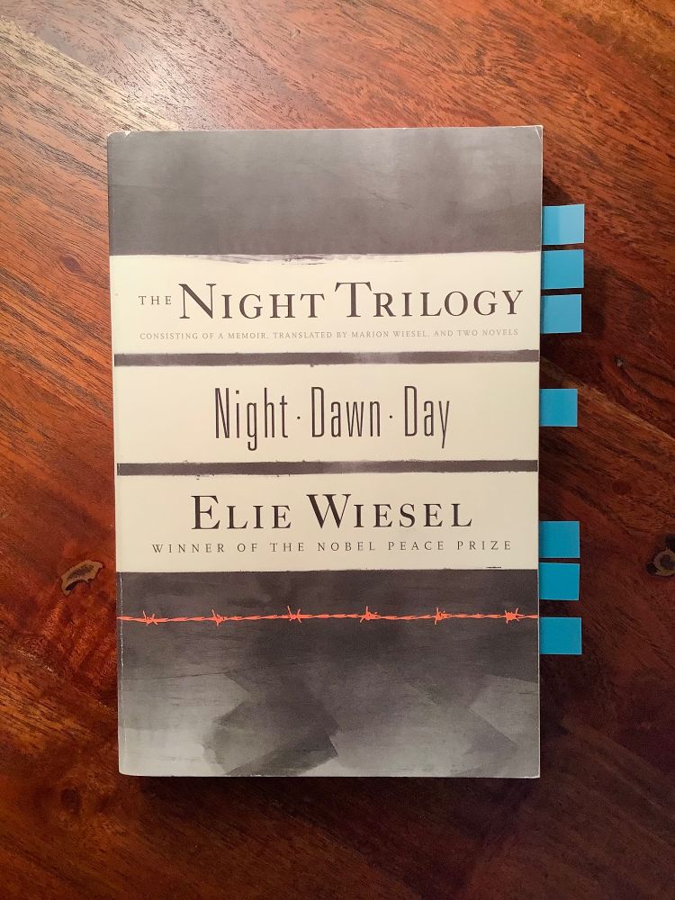 Cover of Elie Wiesel’s ‘Night Trilogy’, single volume.

The orangish line on the bottom third is a silhouette of barbed wire.