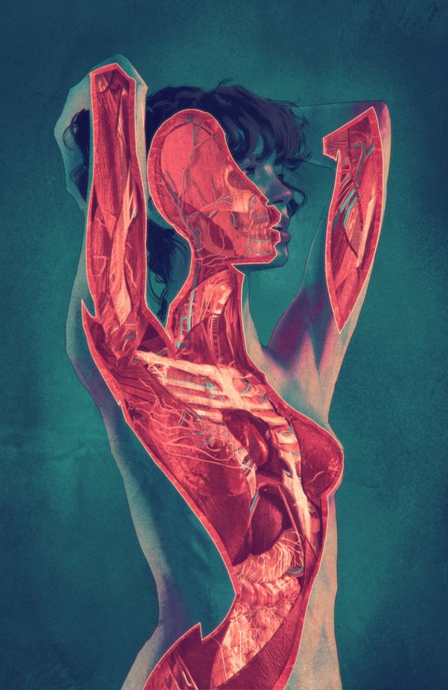 Stylized painting that looks like an anatomy cross section of a woman from the waist up holding her hands above her head and looking into the distance