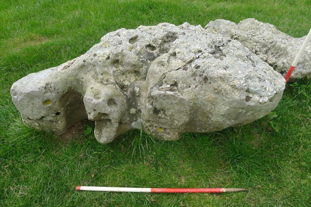 An irregularly shaped sarsen stone that looks a bit like a turtle