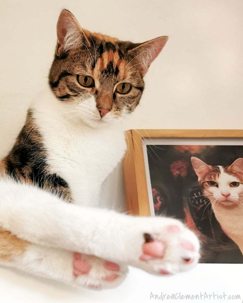 Gorgeous calico cat with back her paws in the foreground showing off her lovely toe beans. Framed photo of our lovely Lulu who was a patched tabby in the background on the right. 