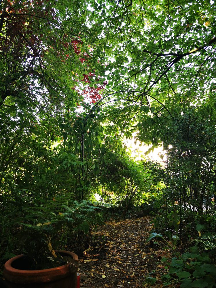 Cool hidden shady spot in the garden.
