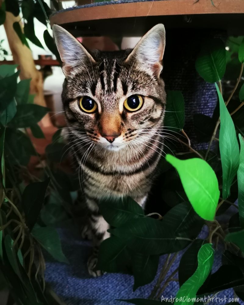 Beautiful tabby cat in her leafy cat tree. 