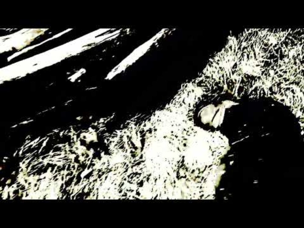 stick path part II