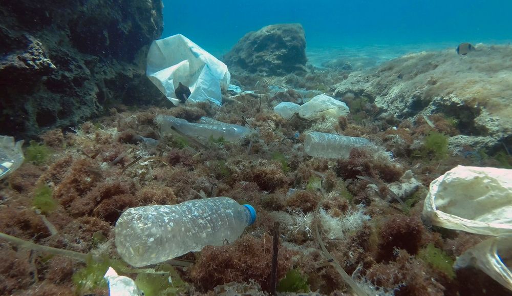 Mehr Nanoplastik im Ozean als gedacht