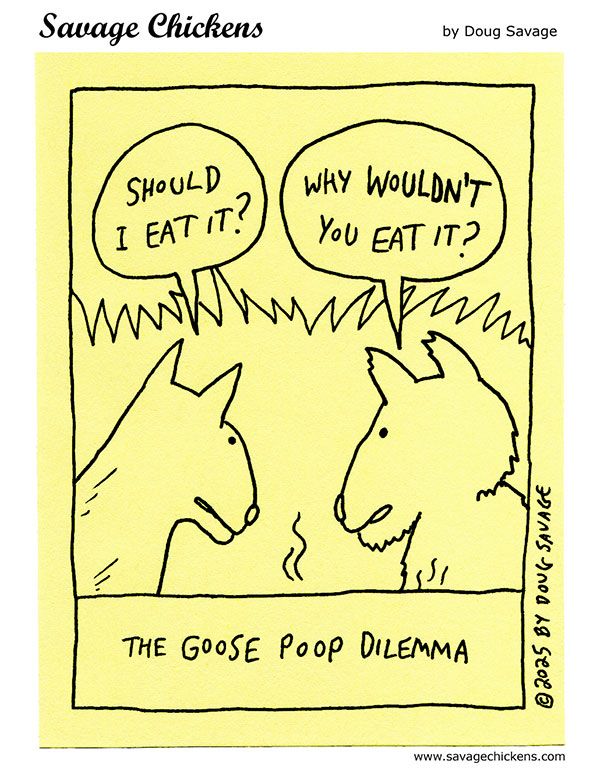 Two dogs looking at something in the grass. One asks, "Should I eat it?"
and the other asks "Why wouldn't you eat it?"
Caption: The Goose Poop Dilemma