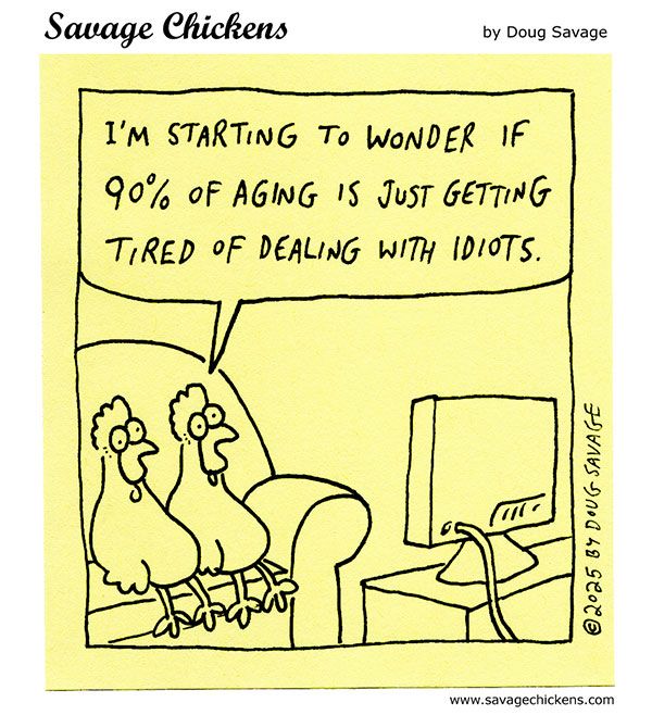 Two chickens watching TV. One says: "I'm starting to wonder if 90% of aging is just getting tired of dealing with idiots."