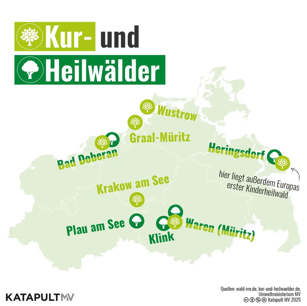 Die Grafik zeigt eine Karte von Mecklenburg-Vorpommern, auf der die Kur- und Heilwälder, die es im Bundesland gibt, eingezeichnet sind. Kurwälder gibt es in Wustrow, Graal-Müritz und Krakow am See. Heilwälder in Klink und Plau am See und einen Kur- und Heilwald in Bad Doberan, Heringsdorf und Waren.