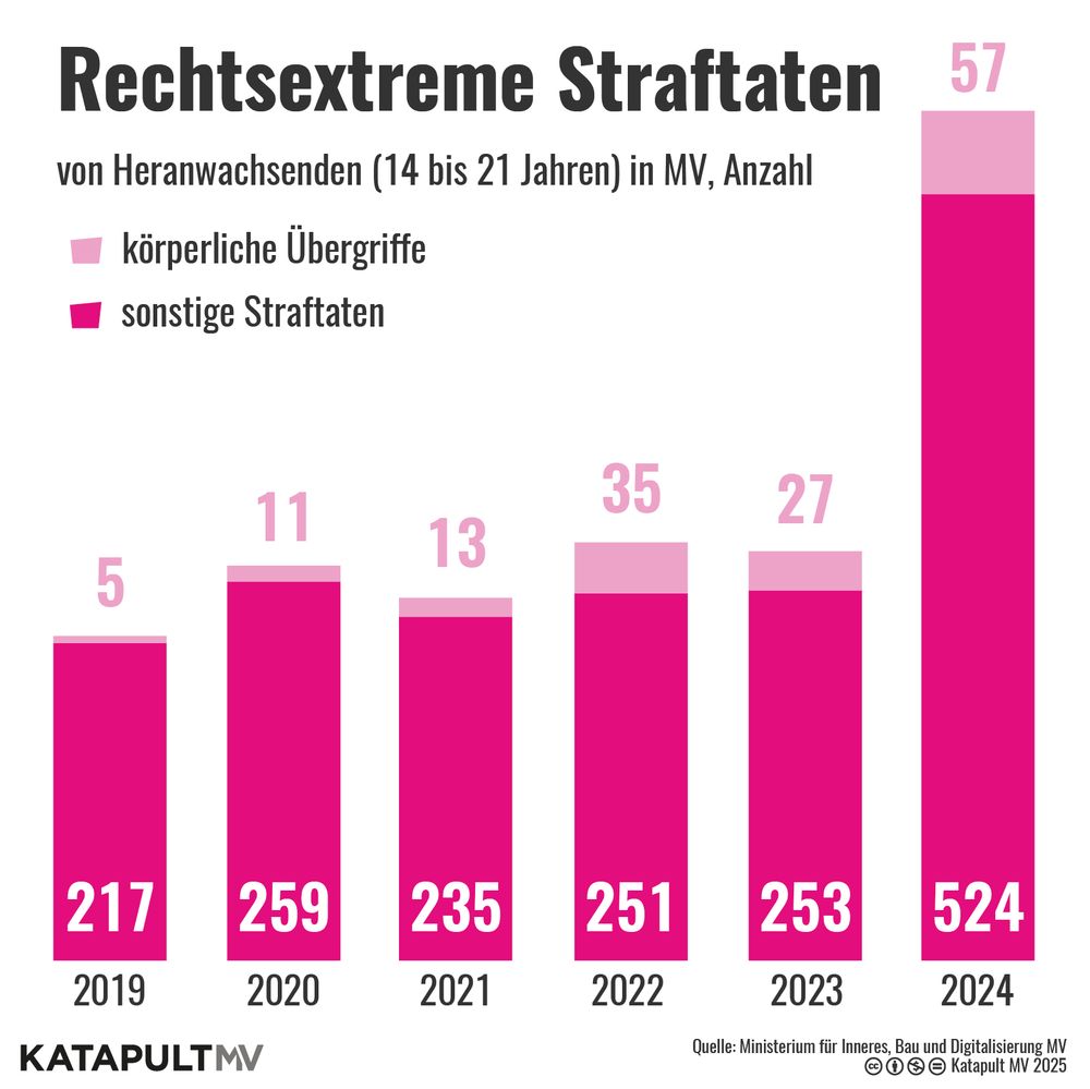 Die Grafik zeigt anhand eines Balkendiagramms den Anstieg rechtsextremer Straftaten von 2019 bis 2024, aufgeteilt in körperliche Übergriffe und sonstige Straftaten. Die Anzahl stieg über die Jahre kontinuierlich an auf einen neuen Rekord im vergangenen Jahr mit 57 körperlichen Übergriffen und 524 sonstigen Straftaten.