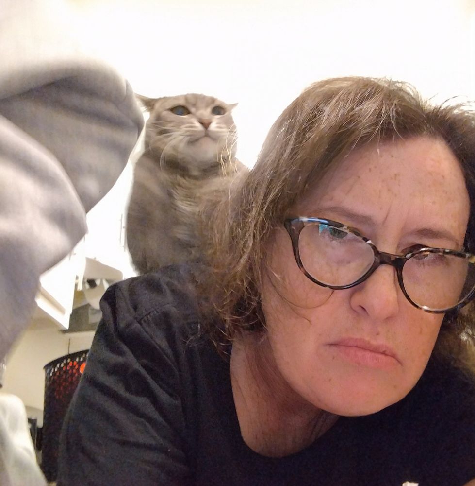 A grey cat sits on my back looking bothered. I'm staring into the camera with the same expression.