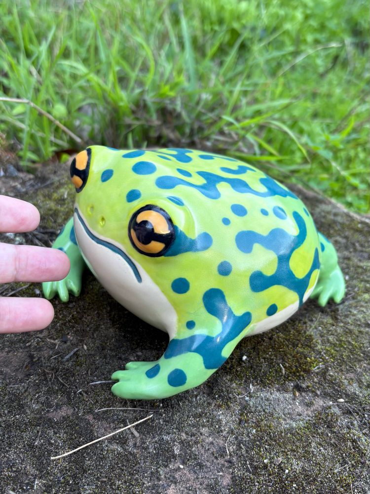 The frog is bigger than my hand.