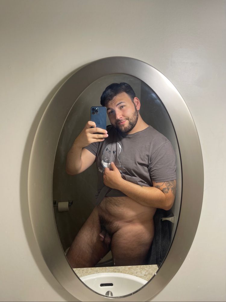 This is a mirror selfie of a slightly smiling dark haired male individual. Shirt raised slightly below their midriff, exposing their soft penis. They are not wearing pants and the shirt has a disappointed seal, the text below says “Seal of disapproval” 