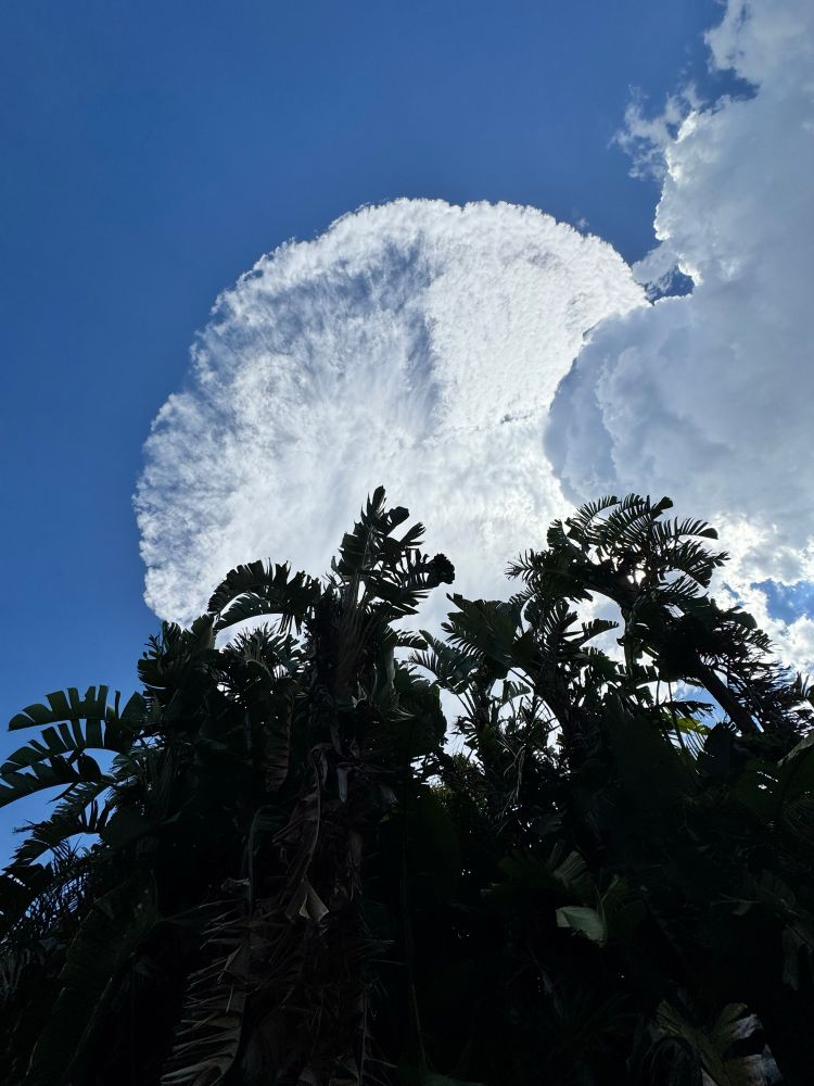 Amazing cloud formations over #Sydney