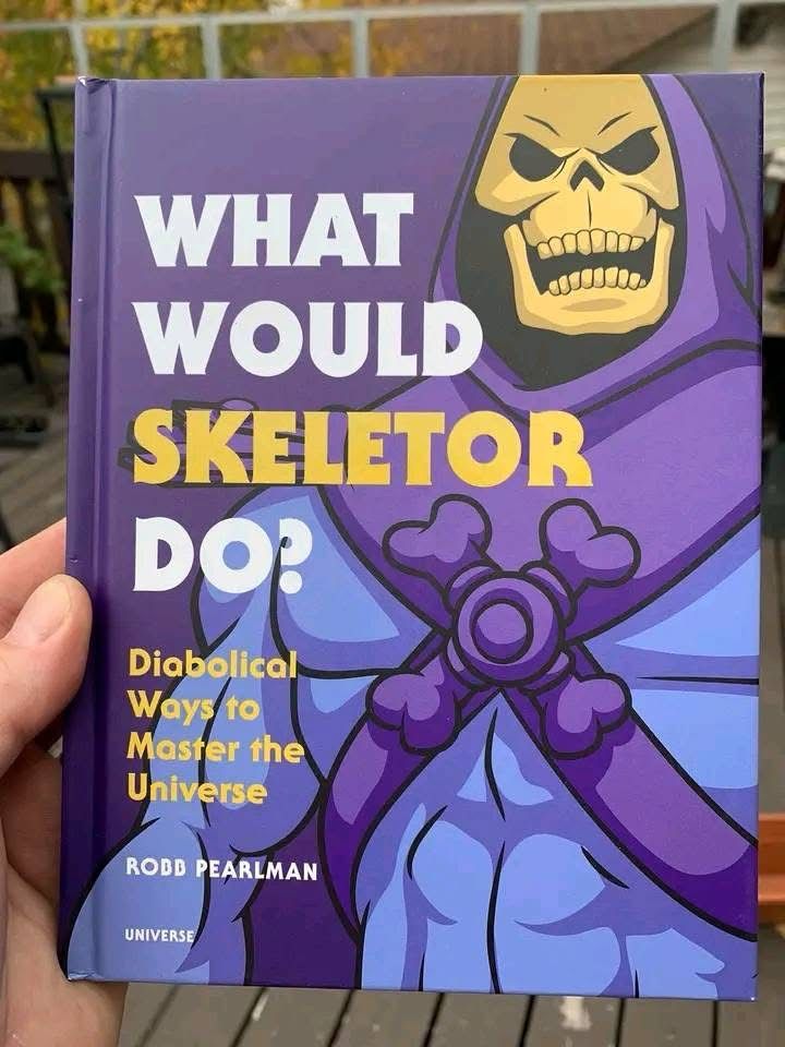 What would Skeletor do book. 