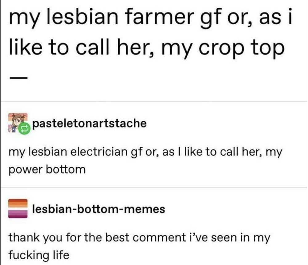 my lesbian farmer gf or, as i like to call her, my crop top

pasteletonartstache
my lesbian electrician gf or, as I like to call her, my power bottom

lesbian-bottom-memes
thank you for the best comment i've seen in my fucking life