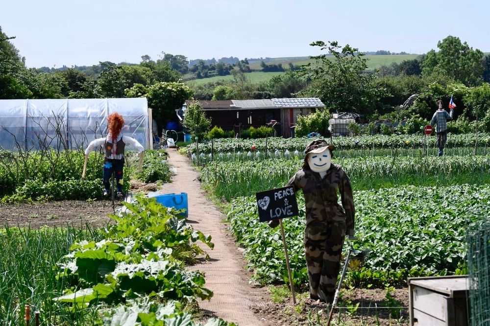 Kleingartenanlage, in der Mitte führt ein Weg durch die bepflanzten Beete. Es sind drei verschiedene Vogelscheuchen zu sehen. Die vorderste hält ein Schild, worauf „Love & Peace“ steht. 