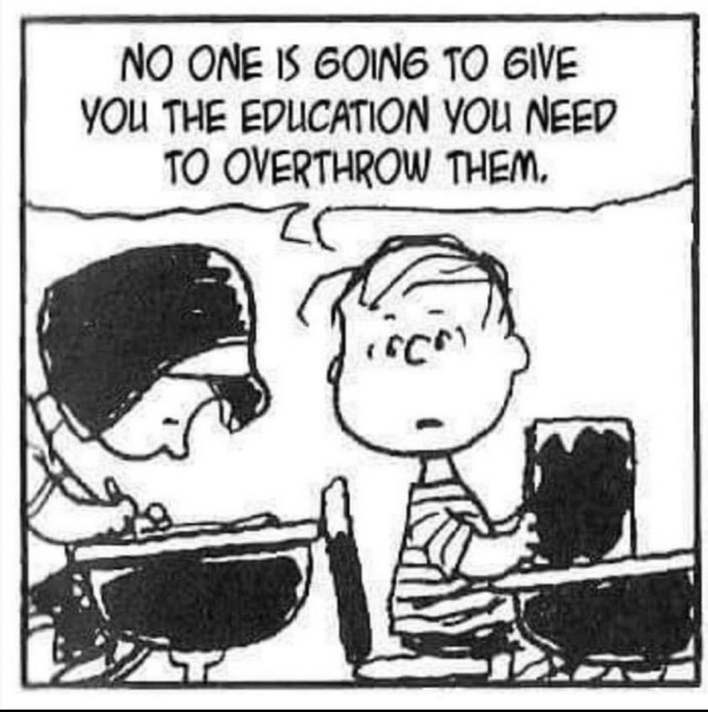 Peanuts cartoon of Linus and an unnamed girl sitting at desks in a classroom. The girl is looking down at a paper on her desk and is writing on it. Linus, holding a book upright on his desk, looks wistfully in her direction and says:
“No one is going to give you the education you need to overthrow them.”