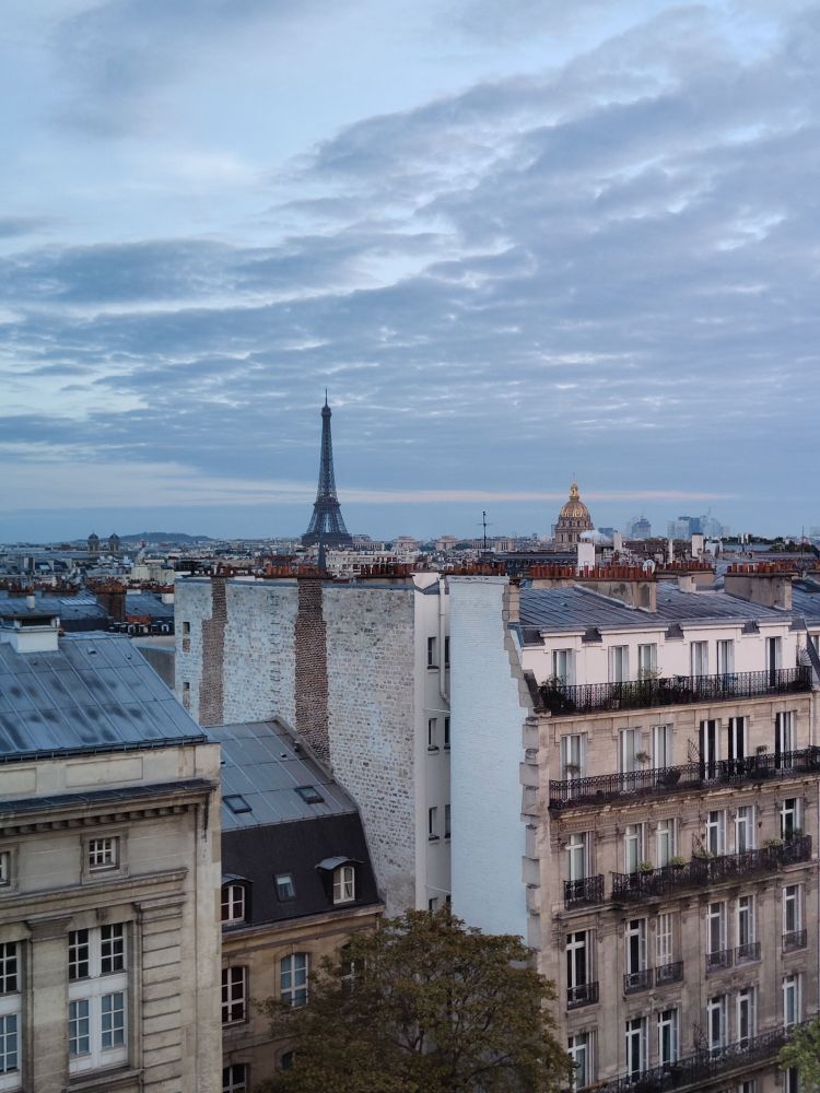 sicht über die dächer von paris auf den eiffelturm