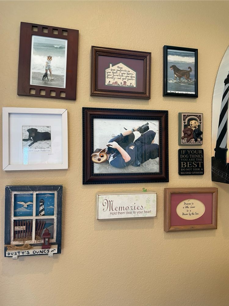 Zoomed out view of the tiny green duckie on the aign, against an eclectic wall display of various framed photos of doggos past & folksy/beachy art. Faces have been covered w/owl stickers but the beach house is open for seasonal rental & reverse image search pulls it up, so there didn’t seem much point in concealing the name.