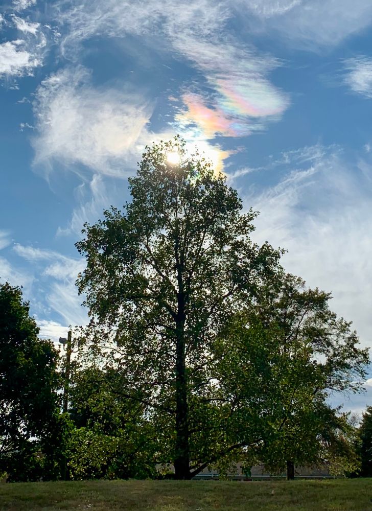 Strange moment in a weird time