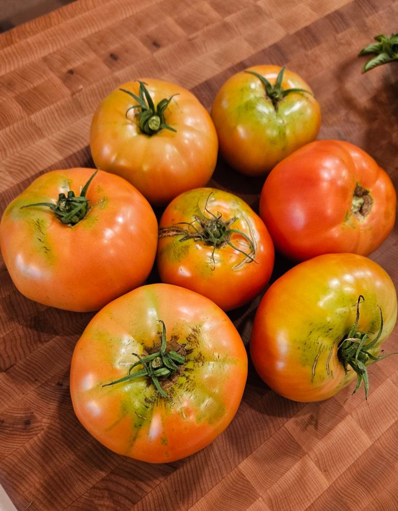 several heirloom tomatoes sitting on a cutting board 