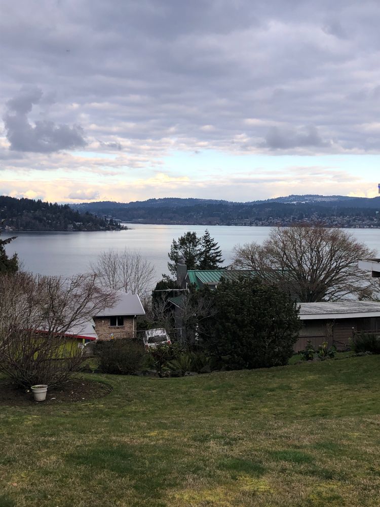 View of some houses on Lake Washington shore, Mercer Island and in the distance Renton Highlands from grassy mole. Clouds overhead and bit of pale blue sky reflected in the water.