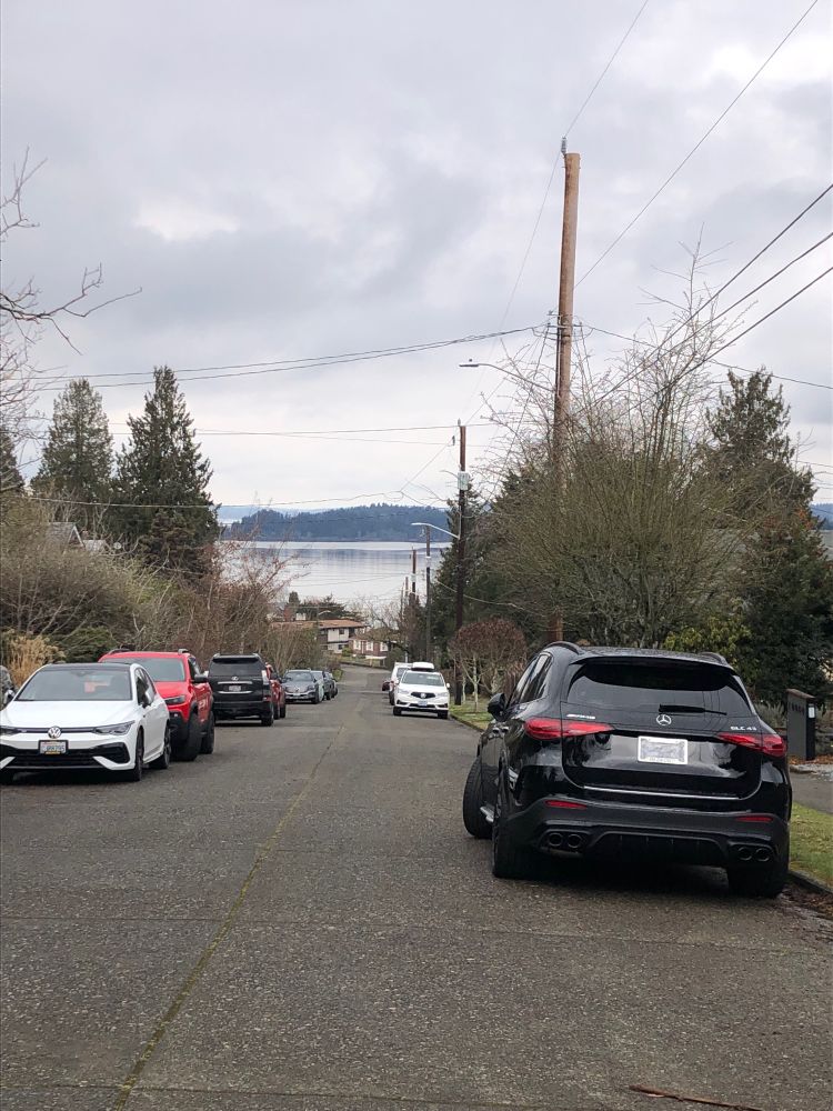 Hilltop view of sloped street, parked cars on both sides, behind houses at foot of hill on perpendicular street, Lake Washington, at the horizon Seward Park peninsula, under cloudy sky. Evergreens abound.