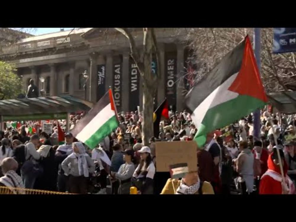 Pro-Palestine protesters march in Melbourne