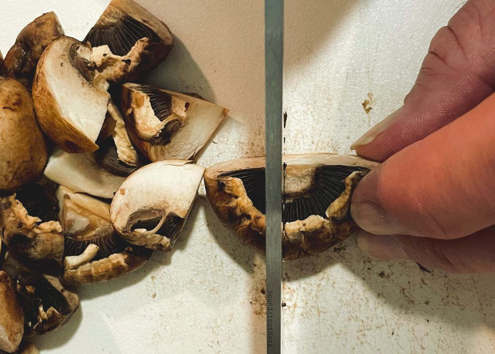 Overhead shot close up of a baby portabella mushroom being sliced with a knife that cuts the screen with a grey line a bit over half way across the frame. There is a pile of quartered mushrooms on the left, and Hank's fingers stabilizing the main shroom underneath the blade.