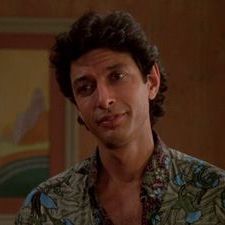 Jeff Goldblum in the movie Vibes