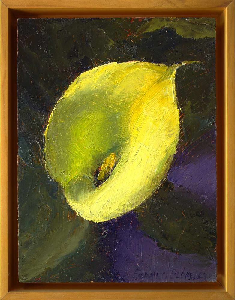 An oil painting of a yellow calla lily, placed against a warm green and dark violet background in a wooden frame.