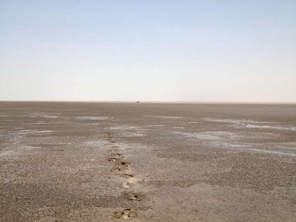 A photo of a very flat landscape with footprints leading off into the distance.