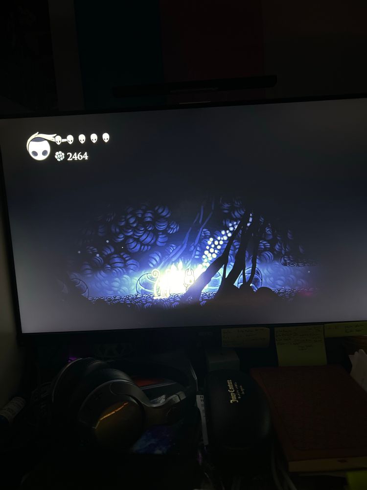 photo of computer screen displaying Hollow Knight.