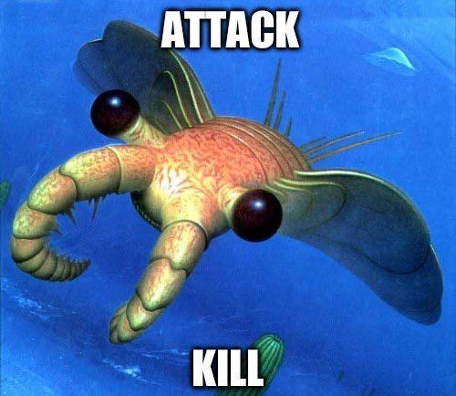 Comment image