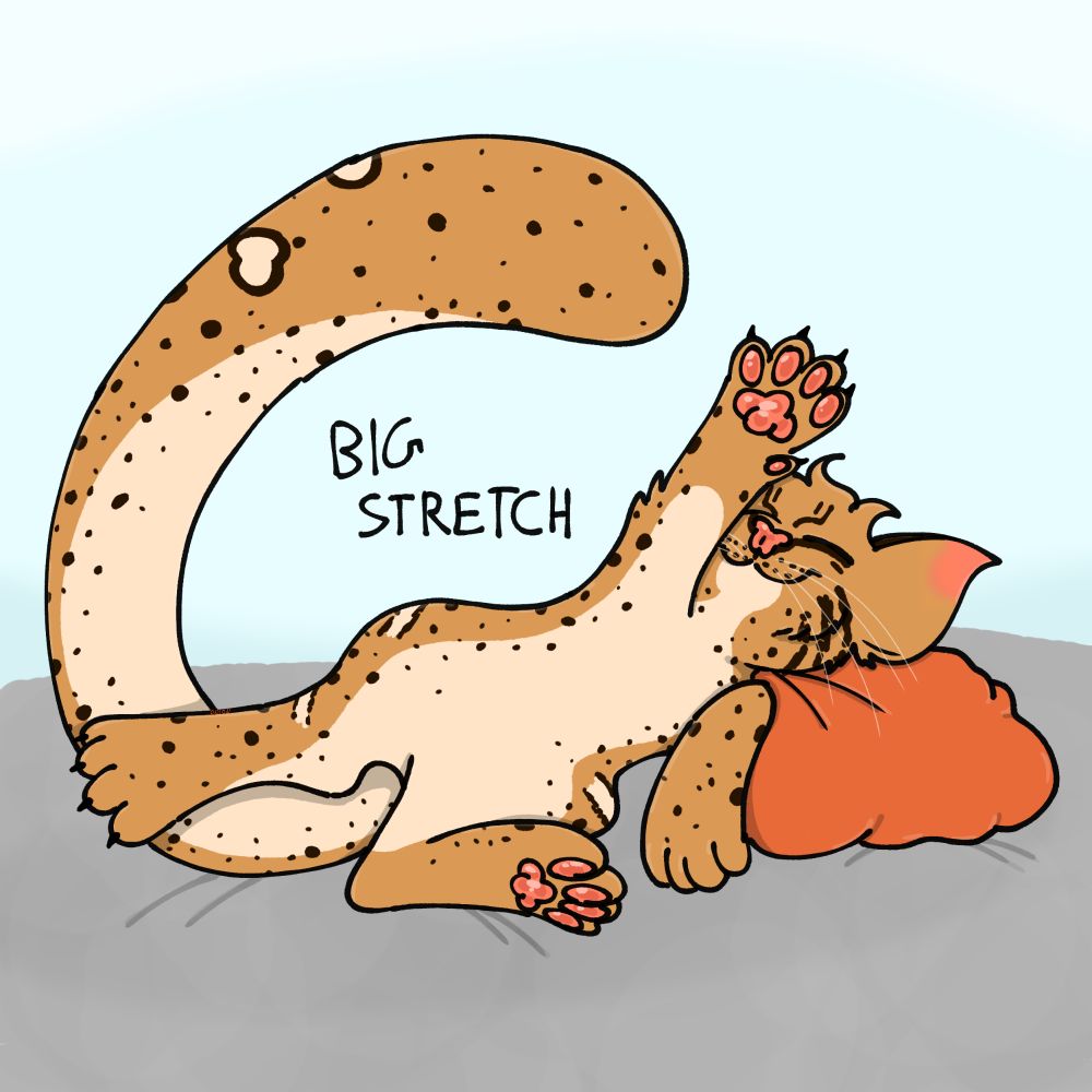 digital art of a marbled cat, laying halfways on its back, stretching after a nap. its leaning on an orange pillow on a grey mattress with a light blue background. text next to it says "big stretch" in all caps.