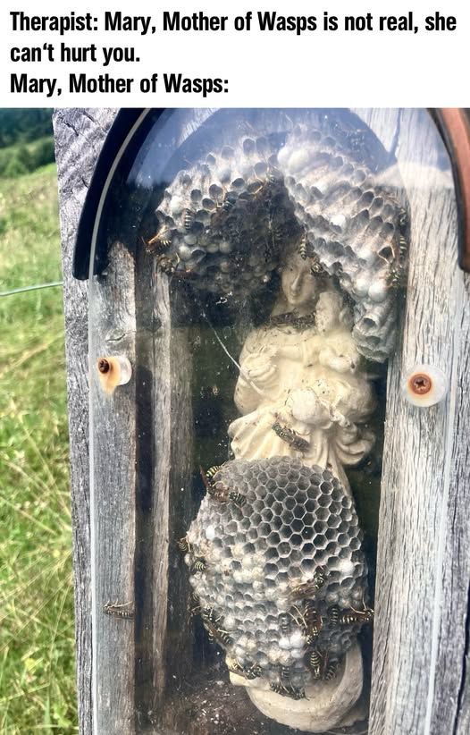 Therapist: Mary, Mother of Wasps is not real, she can't hurt you.

Mary, Mother of Wasps:

Photo of an outdoor statue of the Christian Mary behind plexiglass. Paper wasps have built a nest inside and the statue is engulfed in their honeycomb-like structure, while wasps crawl around inside.  