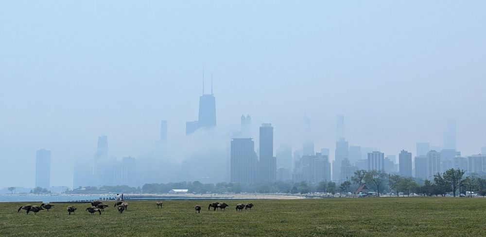 Chicago skyline heavily obstructed by fog