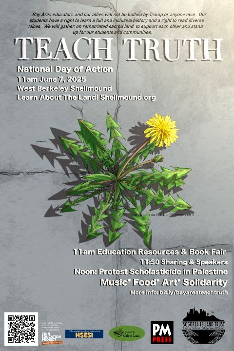 Image of a dandelion growing up thru cracked pavement. Logos of the Sogorea Te Land Trust, the Zinn Education Project, the High School Ethnic Studies Initiative, Jews On Ohlone Land.