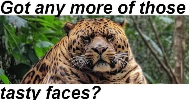 Comment image