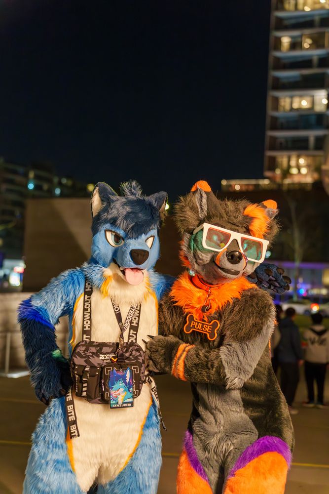a pic of me and @pulsechee.bsky.social, both in our full suit. i'm wearing a howlout chest bag and my badge is hanging in front of the bag. pulse is wearing a pair of fursuit glasses, and a collar with a big tag shaped like a bone with "PULSE" written on it