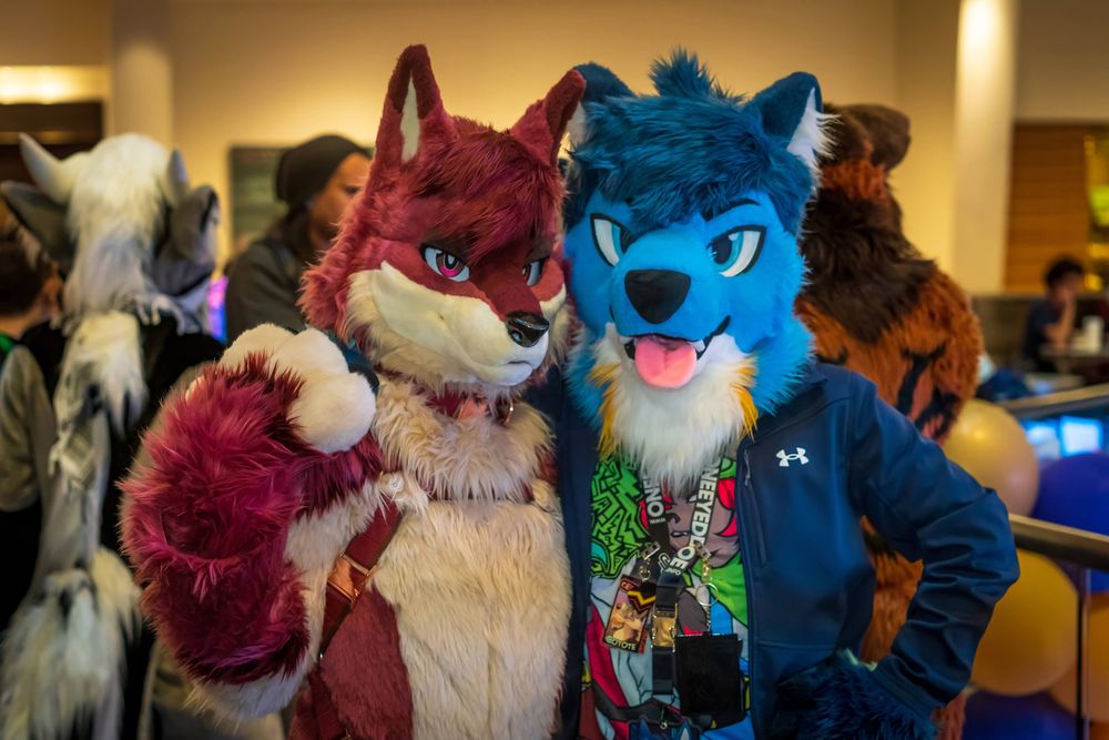 me and @beyzul.bsky.social standing next to each other, one of our arms on each other's shoulder from the back. i'm wearing my fursuit head and hand paws, wearing a colorful t-shirt (featuring darius and rotteen from halley labs but mostly obstructed) under a dark blue jacket, and wearing many badges dangling in front of my t-shirt. beyzul is in his full fursuit with a chest harness and a collar