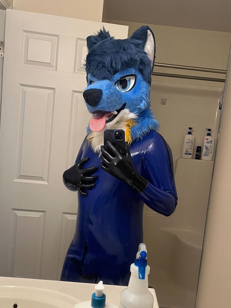 a mirror selfie of me wearing my blue latex catsuit and a pair of black latex gloves plus my fursuit head posing with my left hand grabbing on my chest