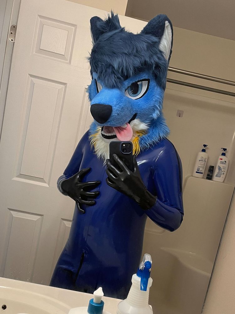 a mirror selfie of me wearing my blue latex catsuit and a pair of black latex gloves plus my fursuit head posing with my left hand grabbing on my chest. i'm also looking down towards the camera and the fursuit's tongue swings to the right