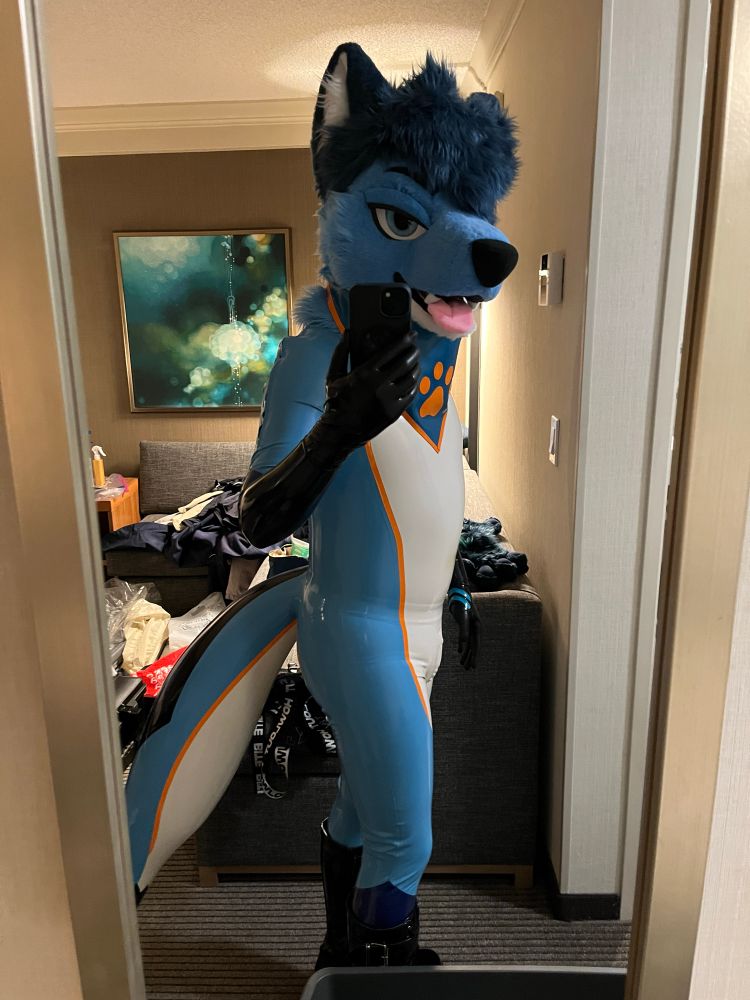 A mirror selfie of me in my fursona latex suit and my fursuit head, and a rubber blue/orange bandana with a paw print on it