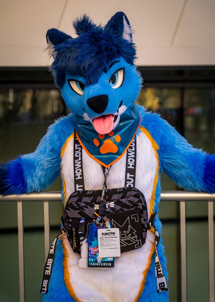 A pic of me in my full fursuit, back laying on a metal fence and arms on the fence as well, wearing a howl-out chest bag and a chain of badges, and a blue rubber bandana with an orange paw print on it