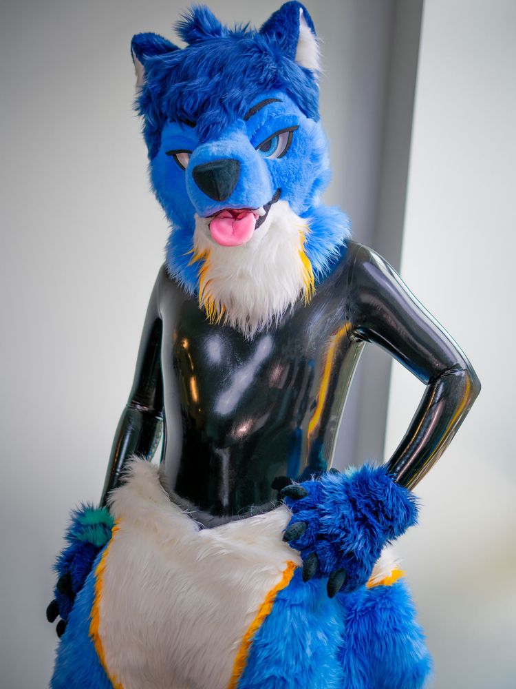 me wearing my full fursuit over a skin tight latex catsuit. the body part of the fursuit is unzipped and partially taken off, revealing the shiny latex on my torso and arms.