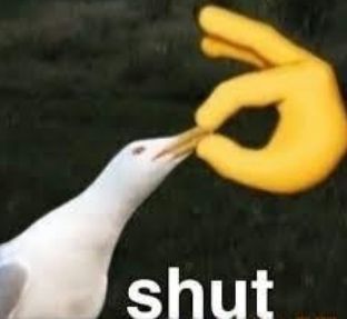 the meme of a seagull with its mouth being held shut by an emoji with the text "shut"