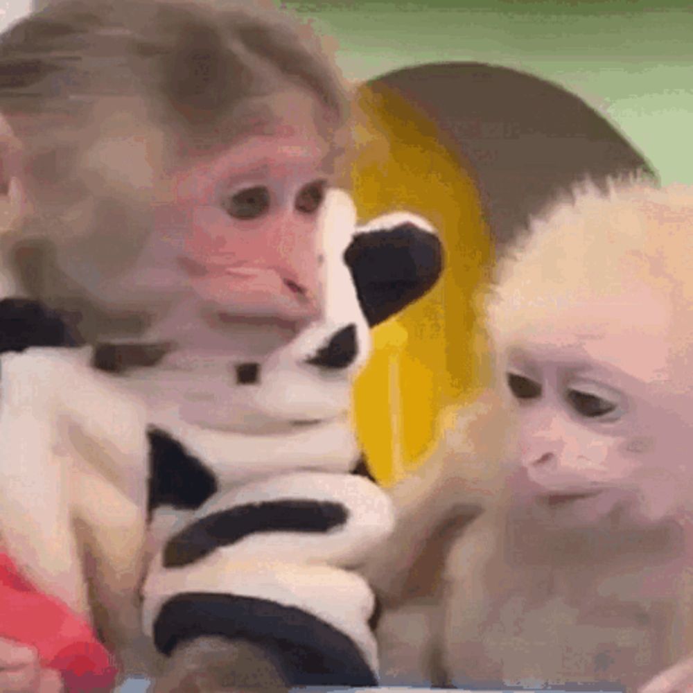 a monkey is holding a stuffed animal in its hands