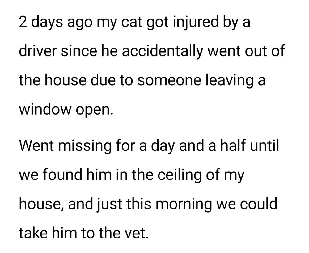 2 days ago my cat got injured by a driver since he accidentally went out of the house due to someone leaving a window open.

Went missing for a day and a half until we found him in the ceiling of my house, and just this morning we could take him to the vet.