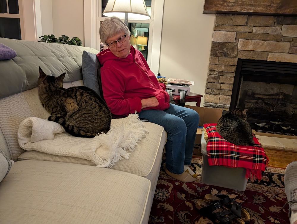 Two cats on blankets as a lady tries to convince on to give up the blanket.